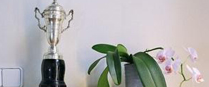 營(yíng)業(yè)執(zhí)照